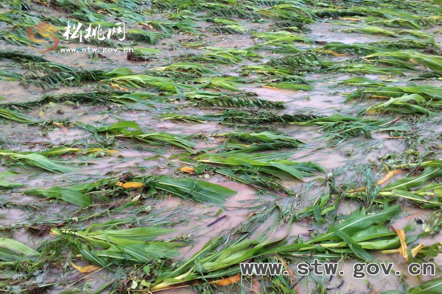 特大暴雨襲擊松桃 搶險(xiǎn)救災(zāi)爭分奪秒