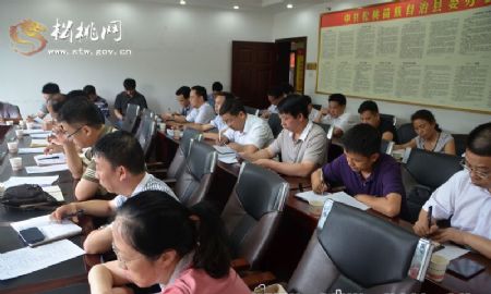 全面深化改革專題組工作會