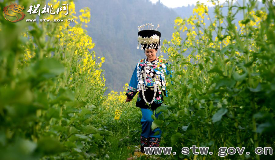 松桃安山萬(wàn)畝大壩油菜花海醉游客