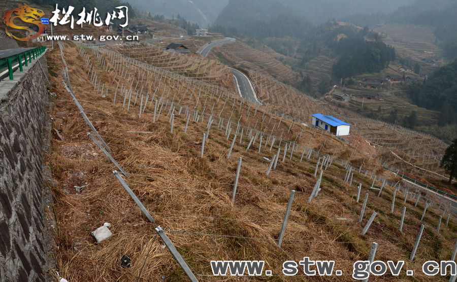 高榜，一個讓你魂牽夢繞的地方