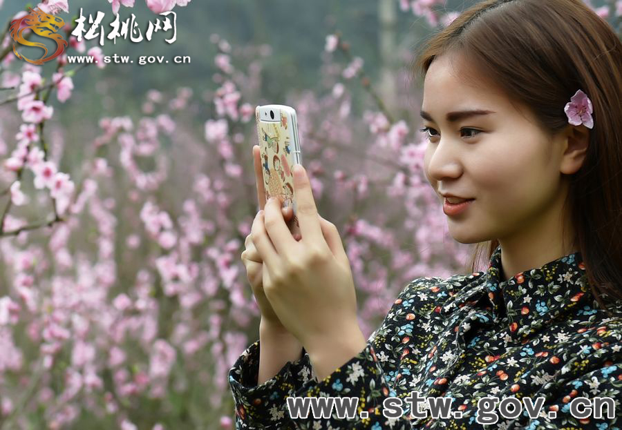 盛開于枝頭，赴一場(chǎng)桃花的盛宴