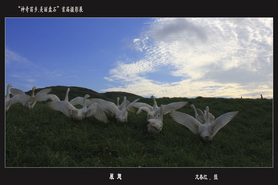 首屆“神奇苗鄉(xiāng).美麗盤(pán)石”攝影展——產(chǎn)業(yè)篇