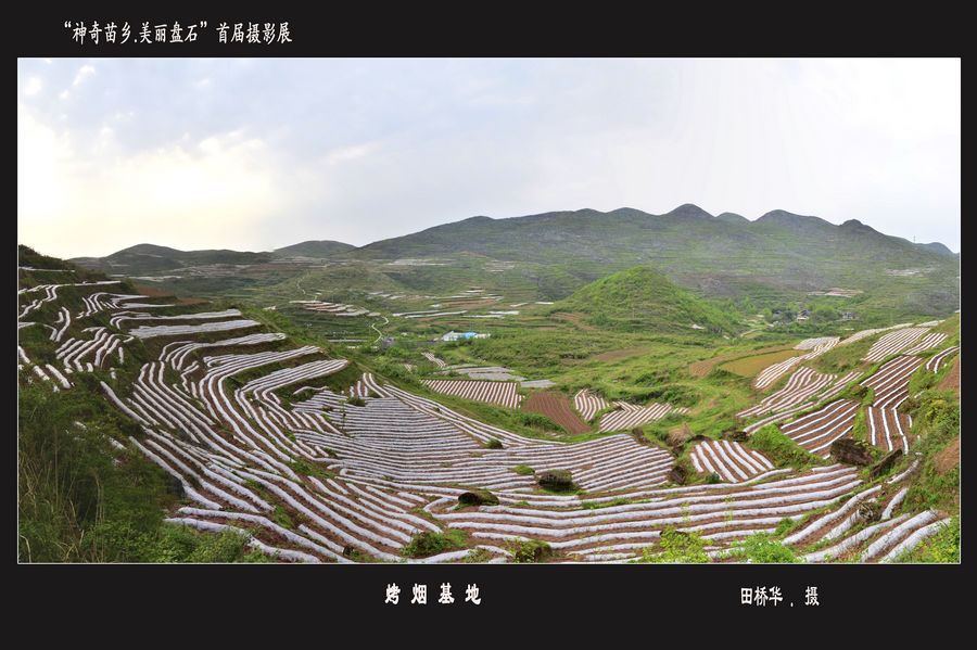 首屆“神奇苗鄉(xiāng).美麗盤石”攝影展——產(chǎn)業(yè)篇
