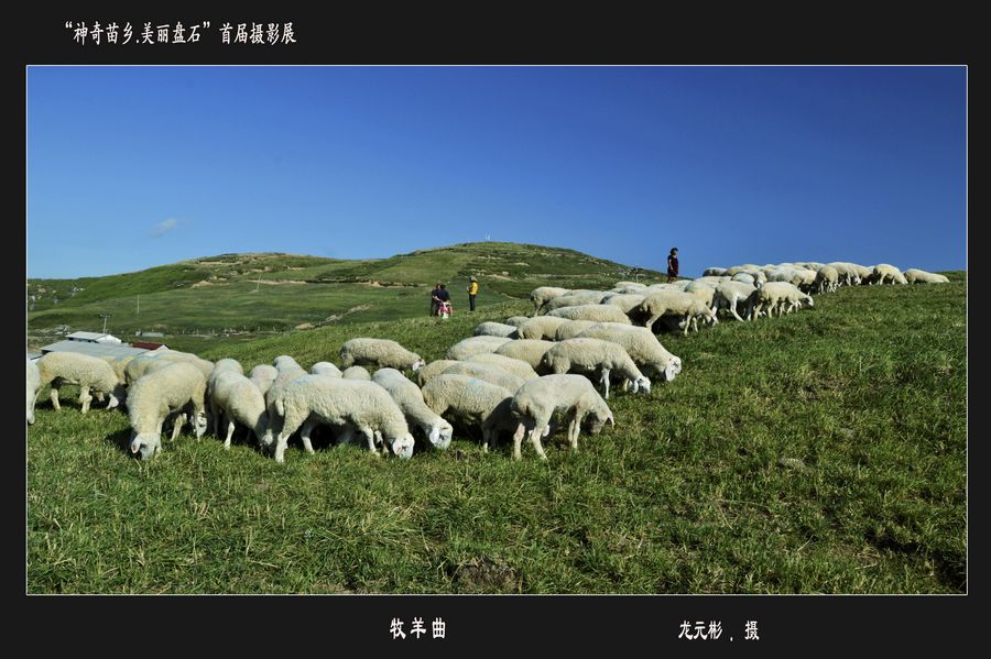 首屆“神奇苗鄉(xiāng).美麗盤石”攝影展——產業(yè)篇