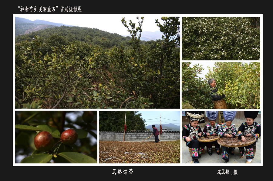 首屆“神奇苗鄉(xiāng).美麗盤石”攝影展——產(chǎn)業(yè)篇
