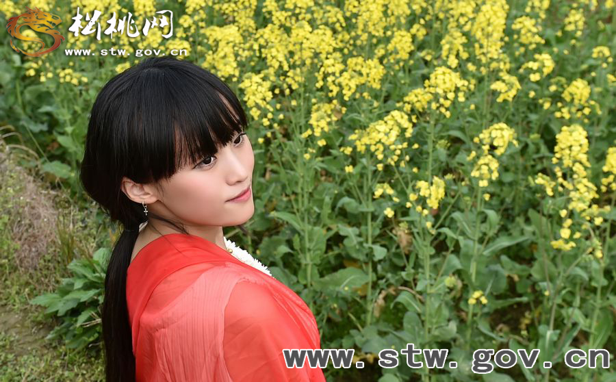春到“府城”，“蝶”戀花
