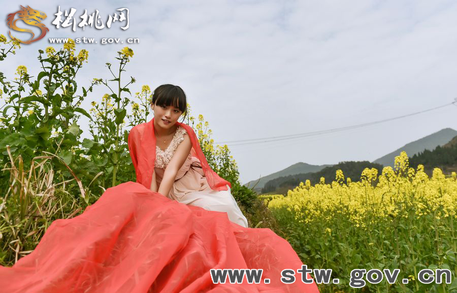 春到“府城”，“蝶”戀花