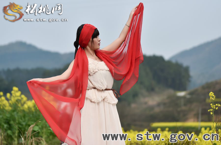春到“府城”，“蝶”戀花