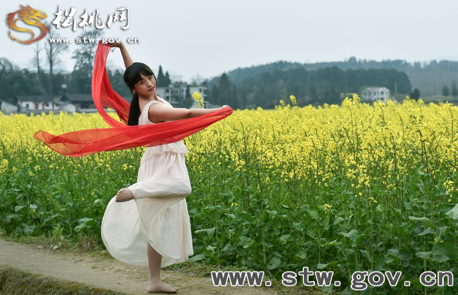 春到“府城”，“蝶”戀花