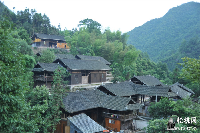 ​ 網(wǎng)絡(luò)鄉(xiāng)村文藝晚會(huì)走進(jìn)茅坪