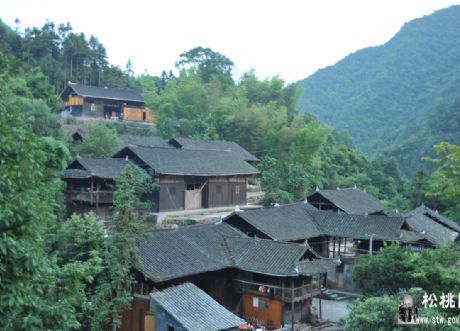​ 網(wǎng)絡(luò)鄉(xiāng)村文藝晚會走進(jìn)茅坪