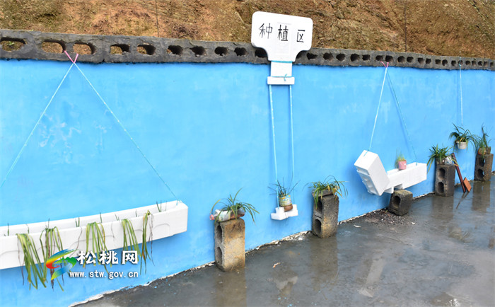 她，“嫁”給大山里的孩子――妙隘鄉(xiāng)大土村幼教志愿者肖敏采訪記