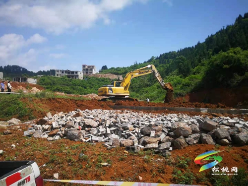 ​世昌街道辦事處進(jìn)行農(nóng)村亂占耕地違法現(xiàn)場拆除工作