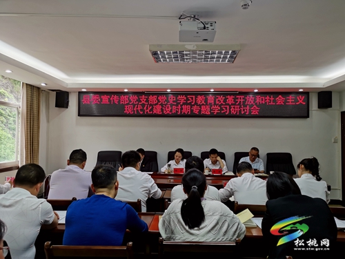 【奮斗百年路 啟航新征程】​縣委宣傳部開(kāi)展黨史學(xué)習(xí)教育并召開(kāi)專題學(xué)習(xí)研討會(huì)