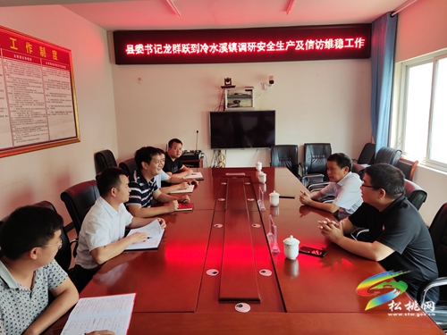 龍群躍到大坪孟溪大路等地調(diào)研安全穩(wěn)定、鄉(xiāng)村振興等工作