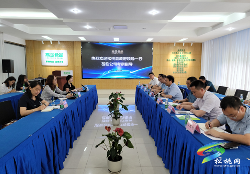 ​龍群躍率團赴成都開展招商引資考察