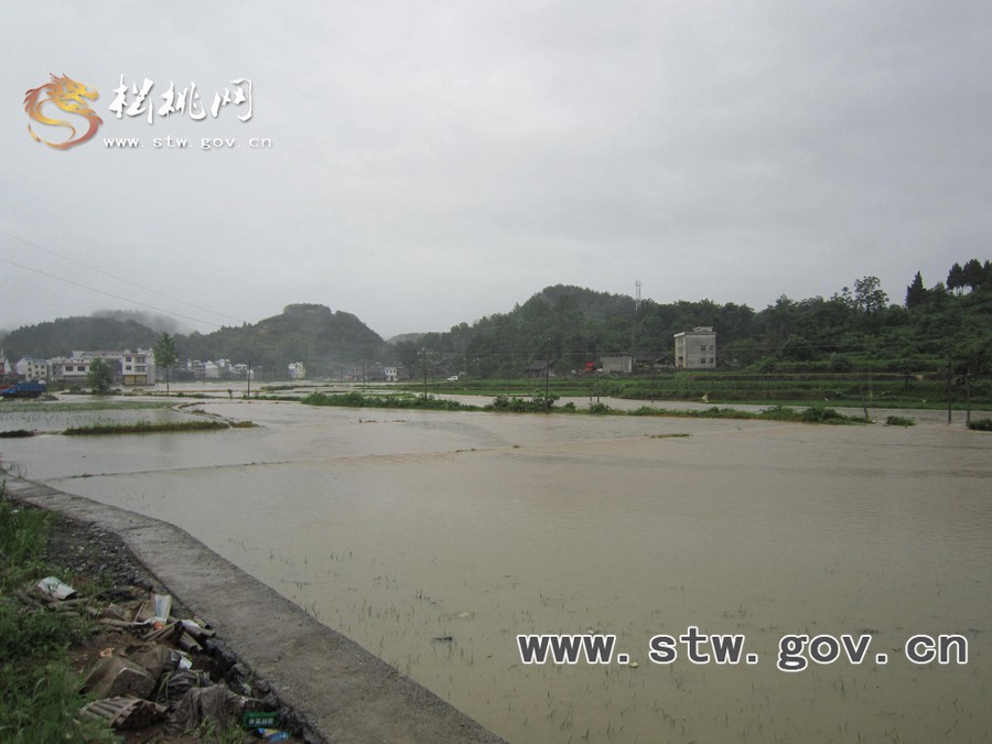 松桃連日暴雨 鄉(xiāng)鎮(zhèn)災(zāi)情嚴(yán)重