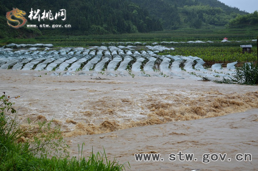 松桃連日暴雨 鄉(xiāng)鎮(zhèn)災情嚴重