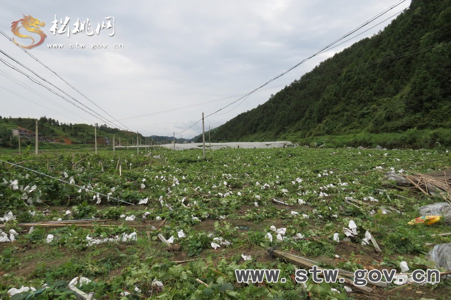 松桃連日暴雨 鄉(xiāng)鎮(zhèn)災(zāi)情嚴(yán)重