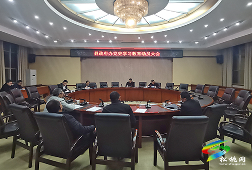 ​【奮斗百年路 啟航新征程】縣政府辦召開黨史學(xué)習(xí)教育動(dòng)員會(huì)