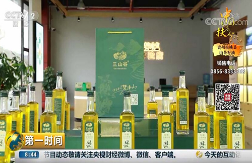 【沿著高速看變化⑦】正大鎮(zhèn)：兩棵茶樹的成長故事