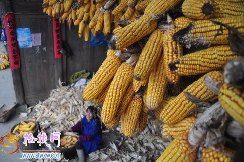 金色的農(nóng)家