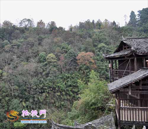 苗王城內(nèi)好風(fēng)光好