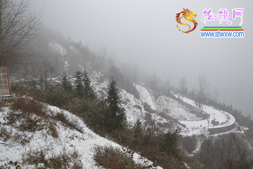 美麗的雪景