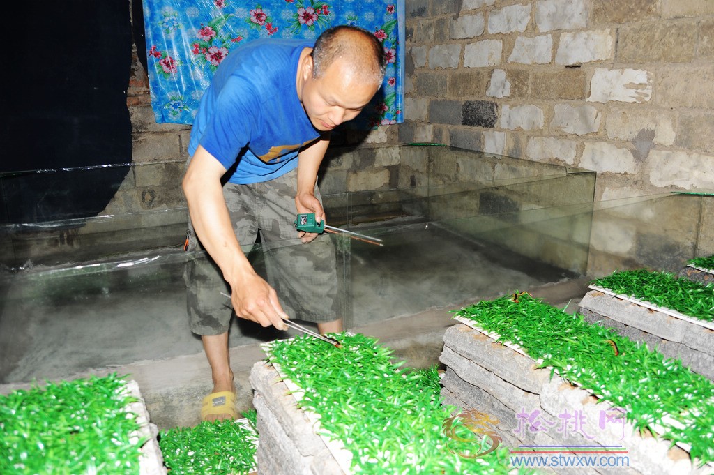松桃首個(gè)蜈蚣特種養(yǎng)殖基地在孟溪安山村落戶