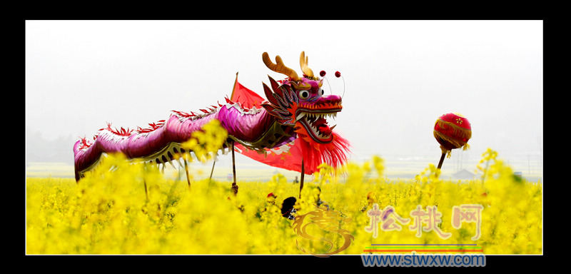 何天才風(fēng)情攝影