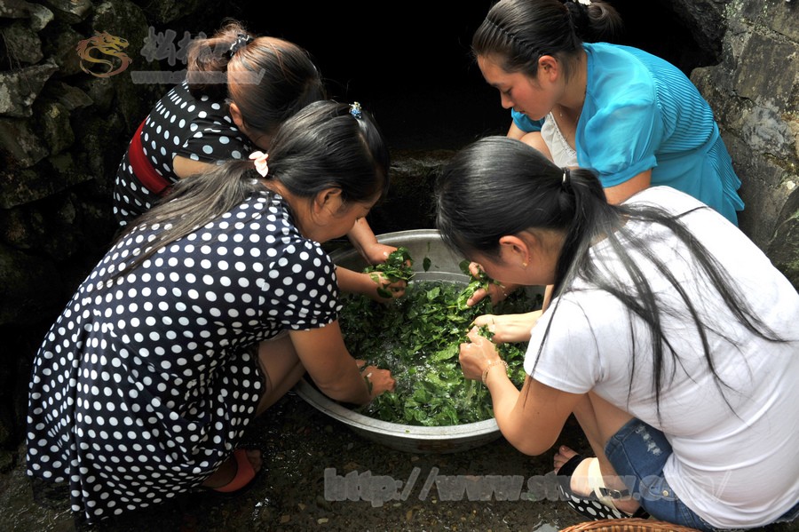 實(shí)拍三陽(yáng)“神仙豆腐”制作全過(guò)程