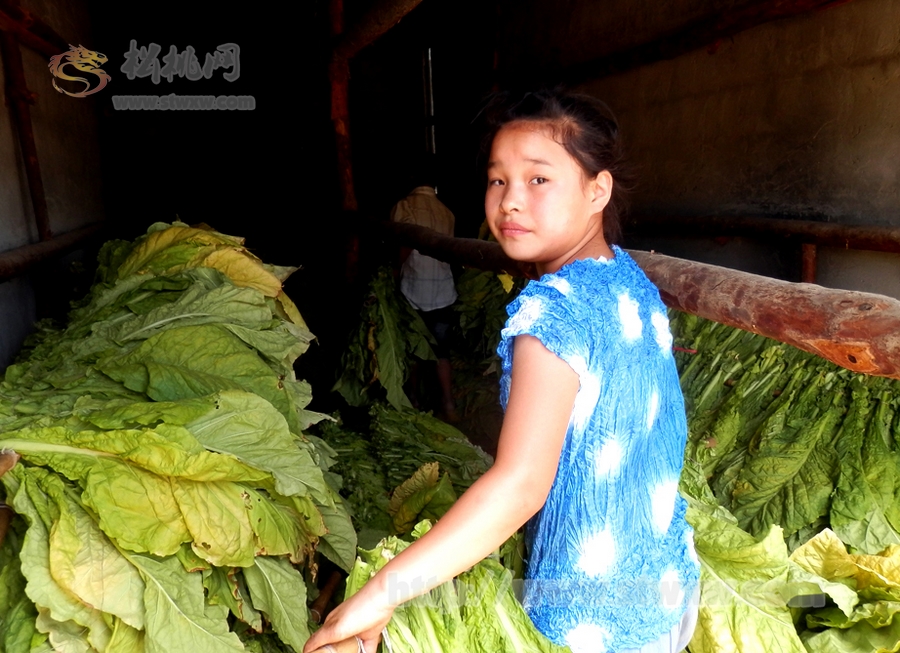 黃板鄉(xiāng)留守老人和婦女兒童家門口淘金