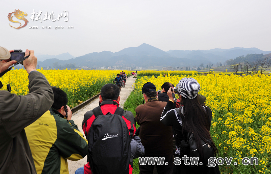 “攝友”初春“鬧府城”活動(dòng)花絮