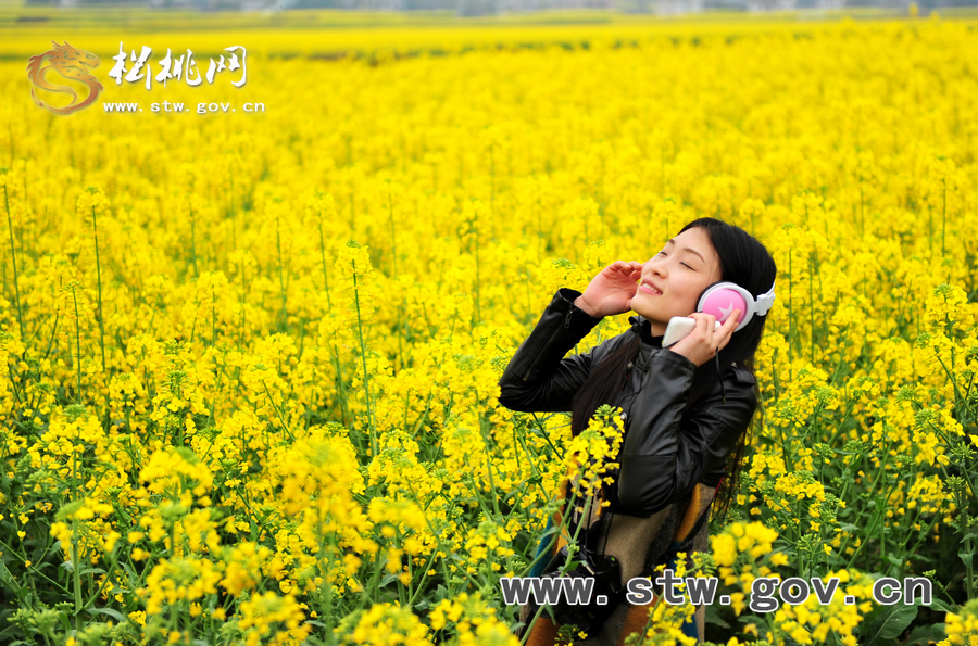 “府城”油菜花人像