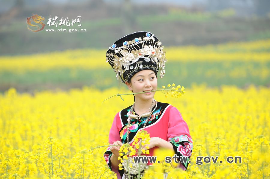 梵凈府城――孟溪，油菜花開了
