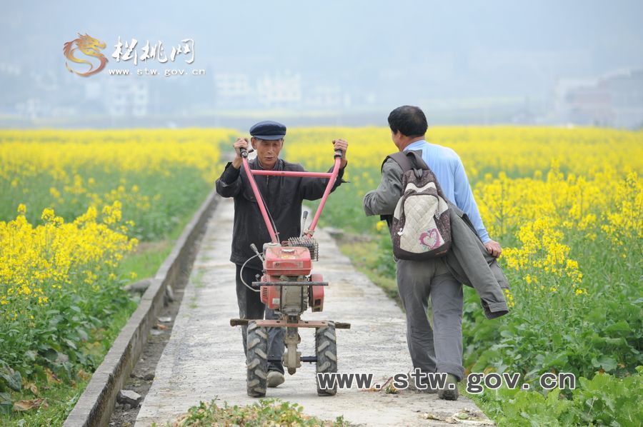 梵凈府城――孟溪，油菜花開了