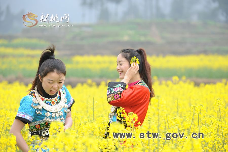 梵凈府城――孟溪，油菜花開(kāi)了