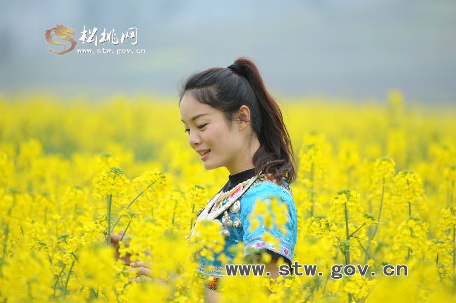 梵凈府城――孟溪，油菜花開了