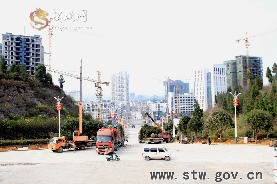 一棵樹(shù)的戲——松桃城區(qū)道路白改黑及景觀改造工程紀(jì)實(shí)