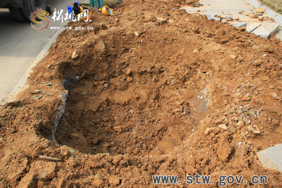一棵樹的戲——松桃城區(qū)道路白改黑及景觀改造工程紀(jì)實(shí)