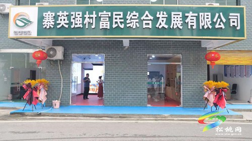寨英鎮(zhèn)強村富民綜合發(fā)展有限公司揭牌成立