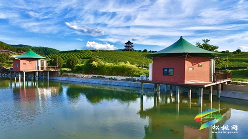 【大美苗鄉(xiāng)新松桃 農旅相融】普覺鎮(zhèn)：以“茶”為基 鄉(xiāng)村旅游釋放新活力
