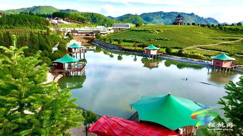 【大美苗鄉(xiāng)新松桃 農旅相融】普覺鎮(zhèn)：以“茶”為基 鄉(xiāng)村旅游釋放新活力