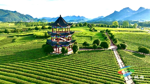 【大美苗鄉(xiāng)新松桃 農旅相融】普覺鎮(zhèn)：以“茶”為基 鄉(xiāng)村旅游釋放新活力
