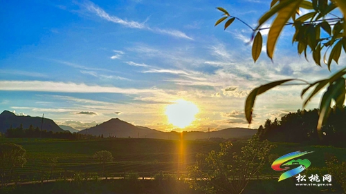 【大美苗鄉(xiāng)新松桃 農旅相融】普覺鎮(zhèn)：以“茶”為基 鄉(xiāng)村旅游釋放新活力