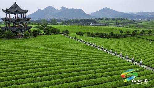 普覺(jué)鎮(zhèn)：探索“12345”工作機(jī)制 助推強(qiáng)村富民公司發(fā)展壯大