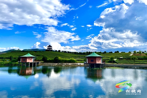 普覺(jué)鎮(zhèn)：探索“12345”工作機(jī)制 助推強(qiáng)村富民公司發(fā)展壯大