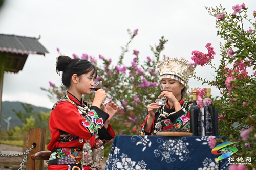 松桃：鄉(xiāng)村變美幸福來
