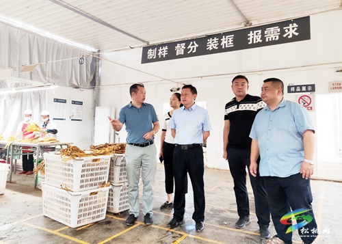 龍群躍到盤信長坪調(diào)研產(chǎn)業(yè)發(fā)展疫情防控安全穩(wěn)定工作
