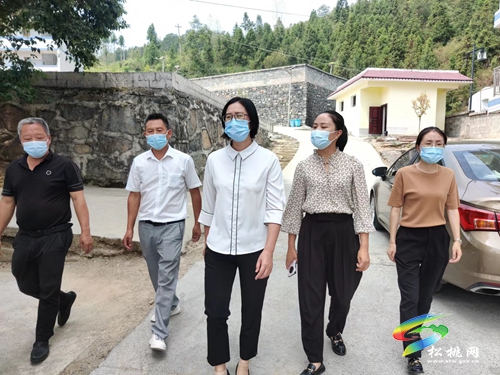 廖東梅到長坪鄉(xiāng)完小、平頭鎮(zhèn)完小等地督導疫情防控工作